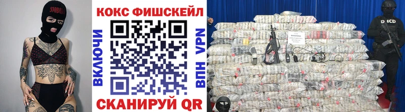 где купить наркотик  Чухлома  Cocaine Fish Scale 