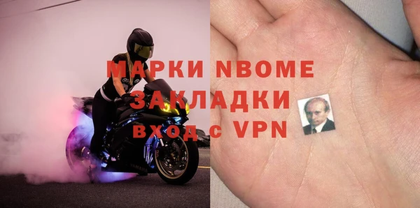 хмурый Белокуриха