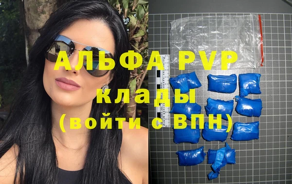 хмурый Белокуриха