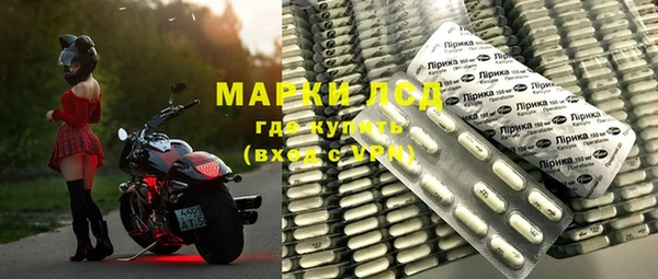 хмурый Белокуриха