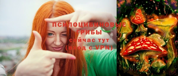дживик Беломорск